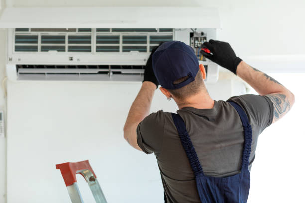 Best Air Duct Mold Removal  in Mcewen, TN