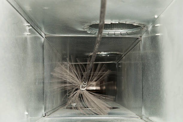 Best Affordable Duct Cleaning Services  in Mcewen, TN